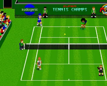 Super Tennis Champs screen shot game playing